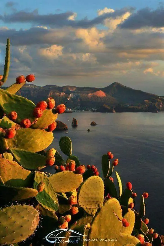 B&B Con Cucina La Ninfea Caltagirone Bed & Breakfast